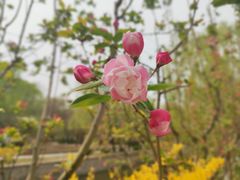 -元大都城垣遗址公园