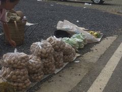 -武陵山森林公园