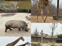 -济南野生动物世界