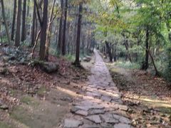 -冶父山国家森林公园