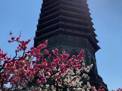 -玲珑塔公园