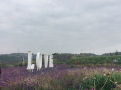 -薰衣草NE庄园