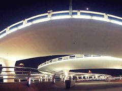 -演武大桥观景平台