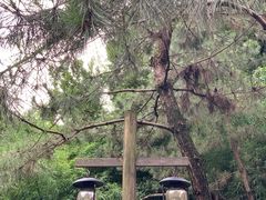-昭明书院
