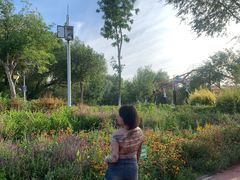 -水上乐园·欢乐世界