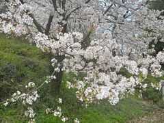 -苏州上方山国家森林公园