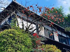 -三千院