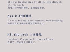 -引领英语·成人口语·雅思托福