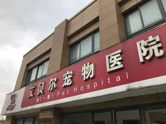 -艾贝尔宠物医院 ·内科全科(梁溪路店)