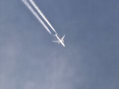 -凯德广场(西城店)