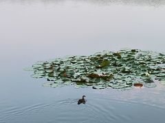 -东湖听涛景区