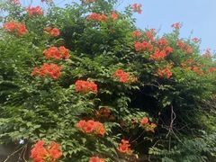 -青州市云门山风景区