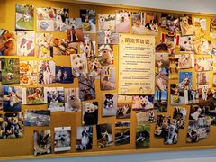 -翊宠yipet猫狗购宠庄园犬舍•猫舍