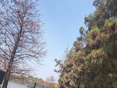 -海珠湖公园