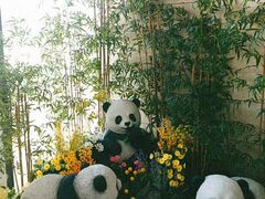 -高阳AquaField汗蒸幕