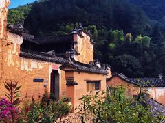 -杨家堂村