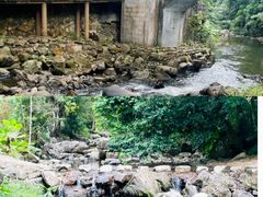 -广州市石门国家森林公园