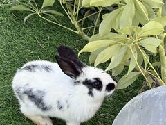 -圣露庄园·露营·烤肉·亲子