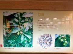 -广东省博物馆