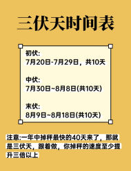 -Fundi张玉珊修身堂·indiba·BTL科技瘦身