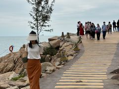 -广东惠东海龟国家级自然保护区