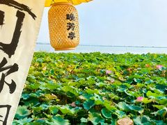 -七的湖·晚芳亭·阳澄湖农家菜·大闸蟹(莲花岛店)