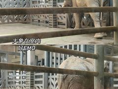 -武汉动物园