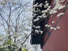 -钱王祠