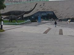 -安徽省地质博物馆