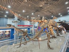 -国家自然博物馆