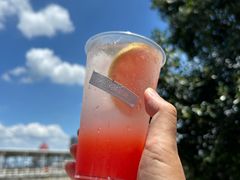 -苏小糖(鼓浪屿三丘田花园店)