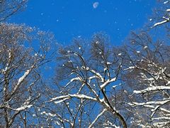 -长白山万达国际滑雪场