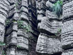-梭布垭石林景区