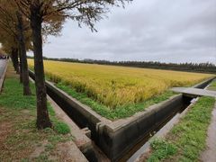 -嘉北郊野公园
