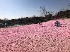 -上海杨姆庄园