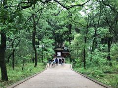 -武侯墓风景区