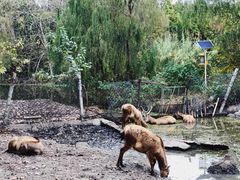 -溱湖国家湿地公园