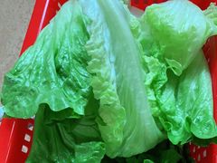 生菜-老东风菜馆·潮汕大排档