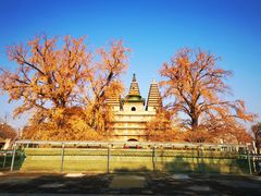 -北京石刻艺术博物馆(五塔寺)