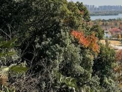 -苏州上方山国家森林公园