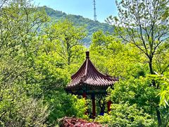 -大连植物园