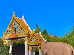 -洛阳白马寺