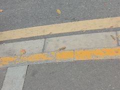 -章云板鸭(评事街店)