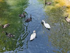 -长白岛森林公园