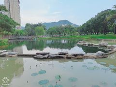 -四海公园(南山区)