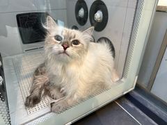 -萌兽医馆·眼科·异宠专科(三里屯店)