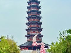 -江苏三台山国家森林公园