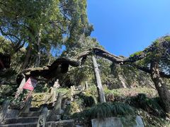 -严子陵钓台(富春江小三峡)