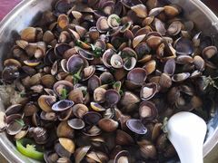 -肥先生河鲜美食(三水店)