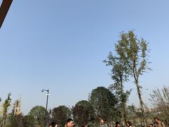 -枫香湖儿童公园